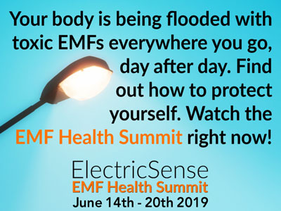 The EMF Health Summit